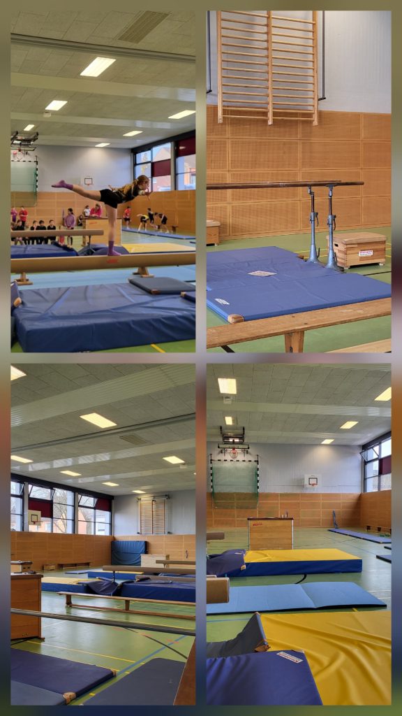 Collage verschiedener Übungsstationen des Turnfestes